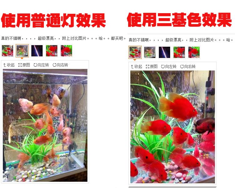 杭州搏鳌水族工程有限公司提供鱼缸订做鱼缸订做服务：如何选择一个合适的鱼缸