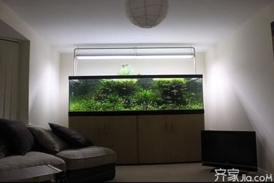 风水学中鱼缸摆放门对住宅风水产生积极观赏价值的元素：家居风水中鱼缸摆放位置 鱼缸百科 第3张