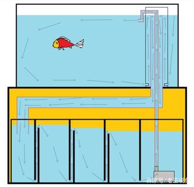鱼缸过滤材料的历史演变：如何选择底滤鱼缸过滤材料 鱼缸百科 第2张
