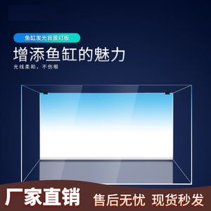 红木鱼缸背景墙设计如何摆放才能达到最佳风水效果：红木鱼缸背景墙如何搭配？ 鱼缸百科 第3张