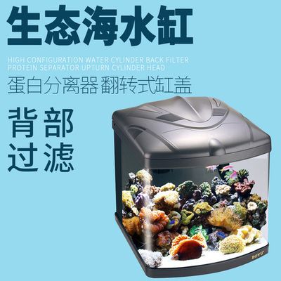 广东博宇集团的潜力与挑战：宠物用品市场的潜力与挑战随着宠物用品市场的潜力与挑战