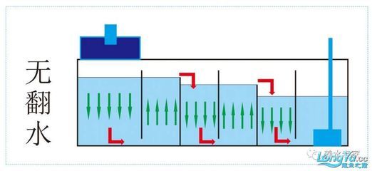 底滤鱼缸水槽清理方法：关于鱼缸底滤鱼缸水槽清理 鱼缸百科 第4张