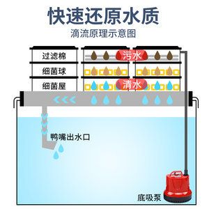 底滤鱼缸过滤系统的制作原理是通过物理与生物完成过滤系统：入分析底滤鱼缸 鱼缸百科 第1张