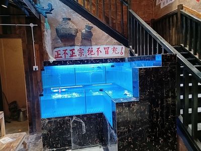 订做海鲜鱼缸的价格：订做海鲜池鱼缸的价格 鱼缸百科 第4张