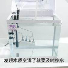 鱼缸清洁的科学方法：换水后鱼缸出现菌丝怎么办？ 鱼缸百科 第1张