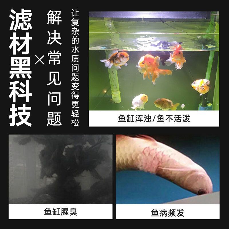 鱼缸水浑浊的原因和解决方案的详细分析报告：海水鱼缸水浑浊的原因和解决方案 鱼缸百科 第3张