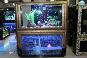 选择观赏鱼缸加盟品牌和水族器材加盟品牌需要考虑的因素：如何选择观赏鱼缸加盟品牌 鱼缸百科 第2张