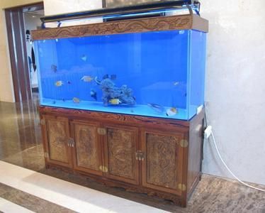 选择观赏鱼缸加盟品牌和水族器材加盟品牌需要考虑的因素：如何选择观赏鱼缸加盟品牌