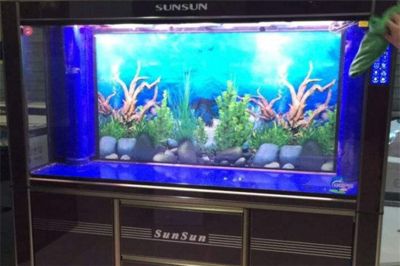 选择观赏鱼缸加盟品牌和水族器材加盟品牌需要考虑的因素：如何选择观赏鱼缸加盟品牌