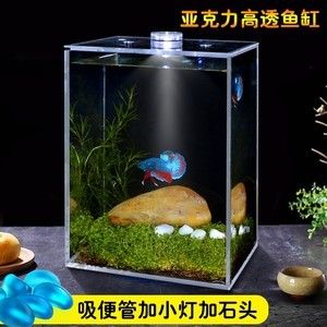 疯狂石头鱼缸过滤器的工作原理是水族箱养护中的重要设备：疯狂的石头鱼缸过滤器怎么选 鱼缸百科 第3张