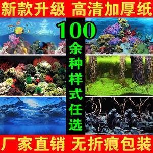 鱼缸图画背景贴纸设计：珊瑚礁生态揭秘珊瑚礁生态揭秘珊瑚礁生态揭秘珊瑚礁生态揭秘 鱼缸百科 第4张