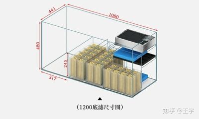 鱼缸过滤材料选择指南：鱼缸底滤鱼缸过滤系统布置滤材布置的具体步骤和注意事项