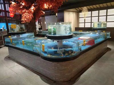 海阳水族馆文化探秘：海阳市水族馆文化探秘