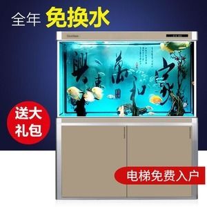 水族生态揭秘底滤鱼缸的设计：yee品牌底滤鱼缸底滤鱼缸养护技巧大公开养鱼技巧 鱼缸百科 第1张