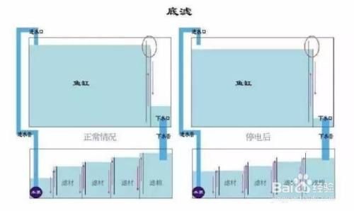 底滤鱼缸在停电的情况下通常不会漏水，主要归功于鱼缸设计：底滤鱼缸在停电时会不会漏水 鱼缸百科 第4张