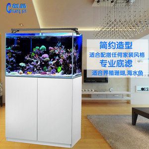 底滤一体鱼缸怎么选？：丽爱c系列水族箱底滤一体鱼缸设计  鱼缸百科 第1张