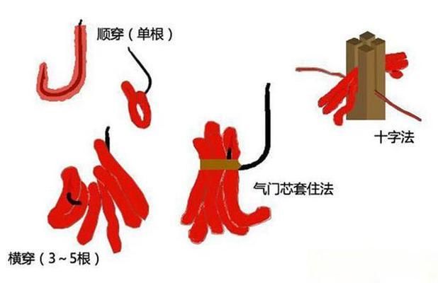 钓鱼文化中的红虫争议在钓鱼文化中的红虫病的真相调查：红虫会污染水质吗？ 鱼缸百科 第3张