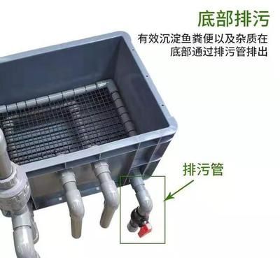 鱼缸清洁技巧大公开：底部过滤的鱼缸如何清理粪便