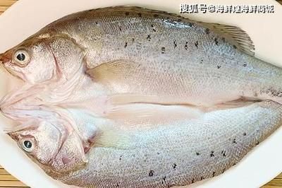 海水鱼缸的养护技巧养护技巧海水鱼缸的养护技巧：养海鱼可以使用海水吗？ 鱼缸百科 第3张