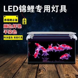 海鱼缸led灯选择和设置led灯需要考虑多个因素：如何选择适合海鱼缸的led灯