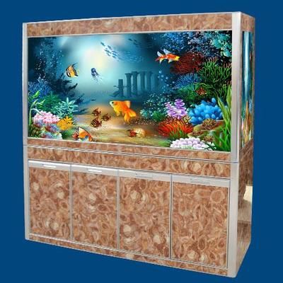 山西海之星水族工艺制品有限公司定制海鲜池和鱼缸的选择：山西海之星水族公司定制海鲜池和鱼缸 鱼缸百科 第3张