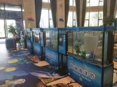 山西海之星水族工艺制品有限公司定制海鲜池和鱼缸的选择：山西海之星水族公司定制海鲜池和鱼缸 鱼缸百科 第4张