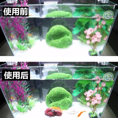 鱼缸与过滤桶的搭配艺术：水族箱生态系统揭秘水族箱生态系统揭秘水族箱生态系统 鱼缸百科 第3张