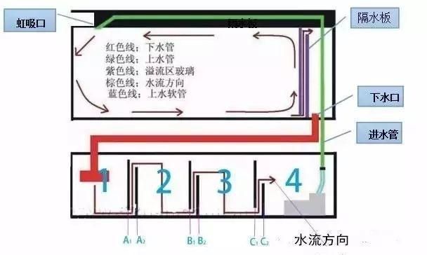 鱼缸过滤系统的维护与保养鱼缸过滤系统的组成与注意事项：底滤鱼缸的优缺点与使用技巧