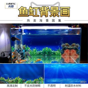 生态鱼缸和海景鱼缸哪个更好用：海景鱼缸和生态鱼缸哪个好用生态鱼缸维护技巧