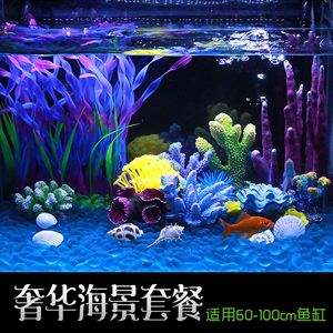 生态鱼缸和海景鱼缸哪个更好用：海景鱼缸和生态鱼缸哪个好用生态鱼缸维护技巧 鱼缸百科 第4张