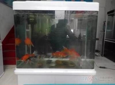 广兴水族鱼缸工艺厂家的联系方式为电话：18218225027：广兴水族鱼缸工艺厂家的联系方式