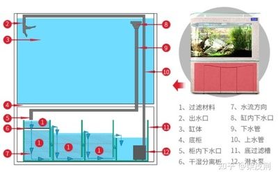 缸内无管件鱼缸选择：无管件鱼缸的安全隐患无管件鱼缸设计的鱼缸设计好处