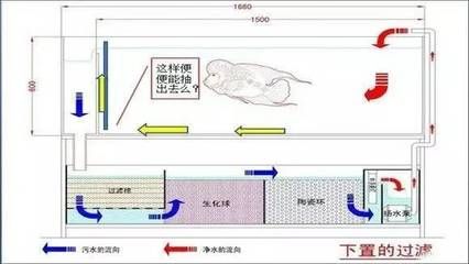 鱼缸过滤棉的选择与搭配：底滤鱼缸在更换过滤棉时会对水质产生一定的影响吗？ 鱼缸百科 第3张