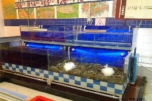 海鲜店鱼缸设备选择：如何选择合适的海鲜店鱼缸设备 鱼缸百科 第4张