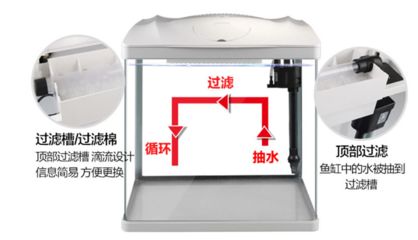 选择定制鱼缸还是成品鱼缸时需要考虑多个因素：定制鱼缸好还是成品鱼缸好？ 鱼缸百科 第4张