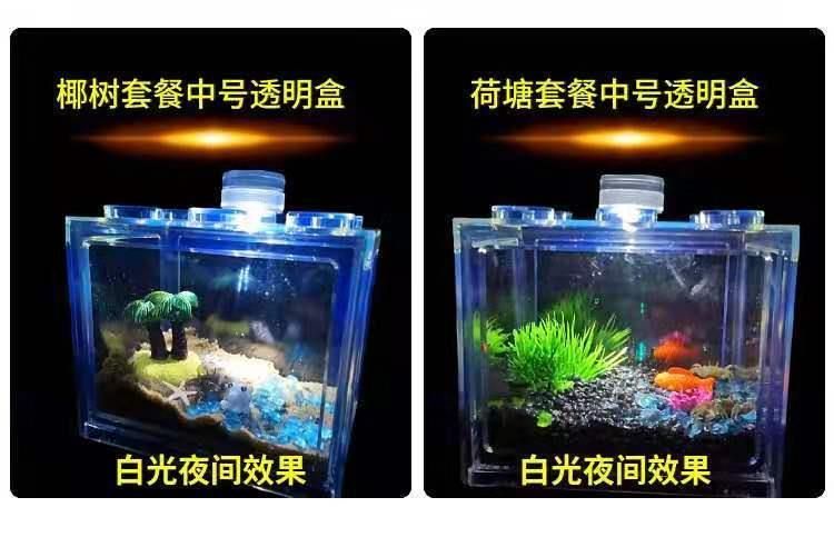 鲷和孔雀等鱼缸的清洁鱼缸中的清洁鱼类的因素推荐：水族箱中的清洁工 鱼缸百科 第4张