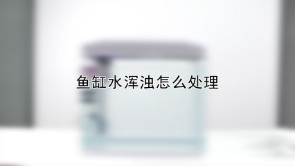 淡水鱼鱼缸加盐的注意事项：淡水鱼鱼缸加盐的作用 鱼缸百科 第2张