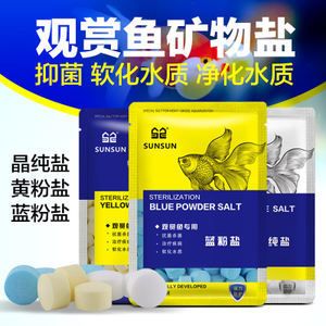 鱼缸过滤器的工作原理：diy鱼缸过滤系统维护鱼缸过滤系统是确保水质稳定的关键 鱼缸百科 第2张