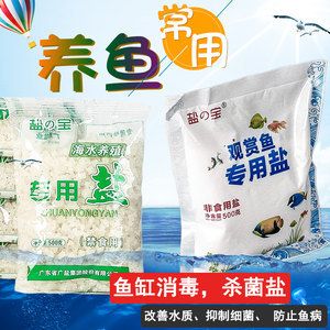 鱼缸过滤器的工作原理：diy鱼缸过滤系统维护鱼缸过滤系统是确保水质稳定的关键 鱼缸百科 第3张