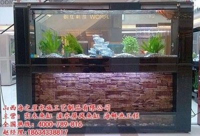 生态鱼缸的设计艺术：山西海之星水族定制海鲜池鱼缸