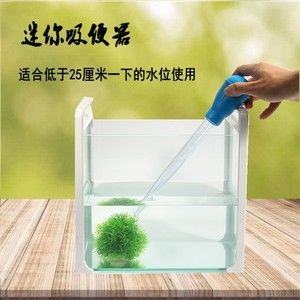 观赏鱼缸换水技巧：观赏鱼缸如何换水 鱼缸百科 第2张