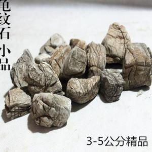 龟纹石在鱼缸造景中的运用：龟纹石在鱼缸造景中具有独特的魅力和应用和应用方式 鱼缸百科 第3张