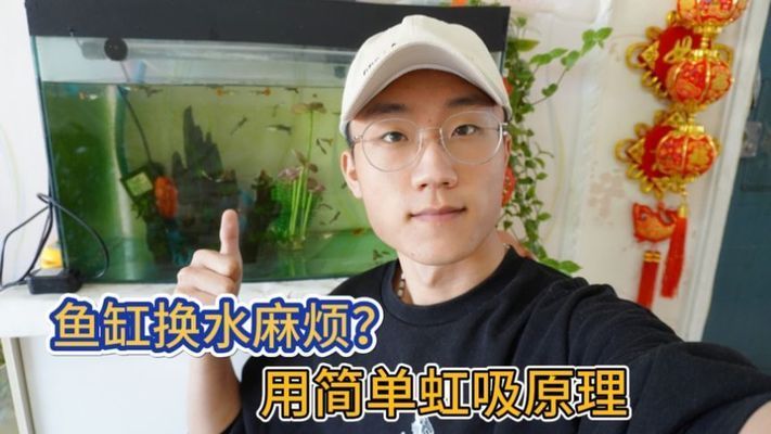 鱼缸换水频率的科学依据：给鱼缸换水的几种快速方法 鱼缸百科 第1张