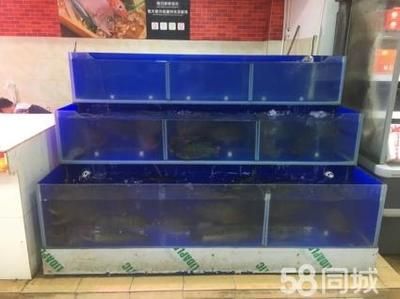 订做海鲜池鱼缸的注意事项：如何选择合适的海鲜池鱼缸 鱼缸百科 第1张