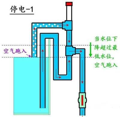 底滤鱼缸打孔改造的技巧：diy鱼缸的魅力diy鱼缸改造 鱼缸百科 第1张