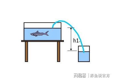 鱼缸水质管理的全面指南：w鱼缸底砂过滤系统搭建高效的底砂过滤系统搭建方案 鱼缸百科 第3张