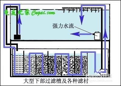 鱼缸水质管理的全面指南：w鱼缸底砂过滤系统搭建高效的底砂过滤系统搭建方案 鱼缸百科 第1张