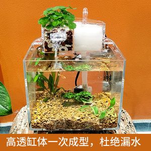 鱼缸漏水怎么办：风水鱼缸漏水可能会对风水产生影响但首先需要确保安全并尽快修复 鱼缸百科 第3张