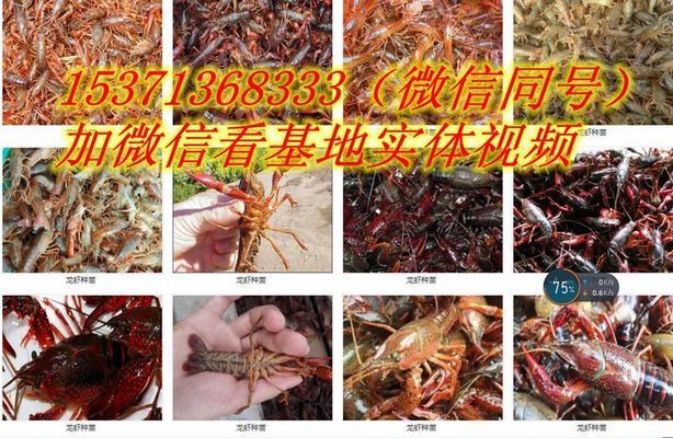 菏泽定陶鱼缸定陶鱼缸定做鱼缸定做价格是多少钱：定陶区鱼缸定陶鱼缸定做鱼缸定做价格是多少钱