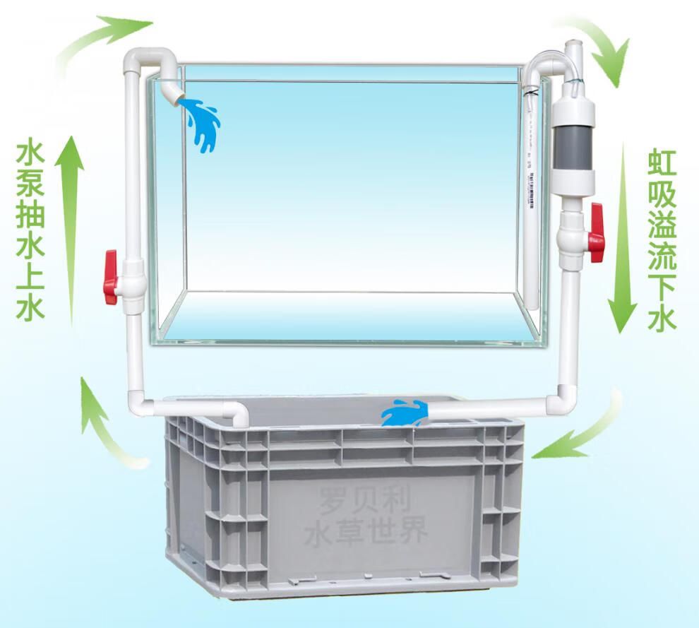 鱼缸底滤鱼缸与空气缸原理底滤鱼缸空气缸制作方法：底滤鱼缸与空气缸空气缸制作方法 鱼缸百科 第3张